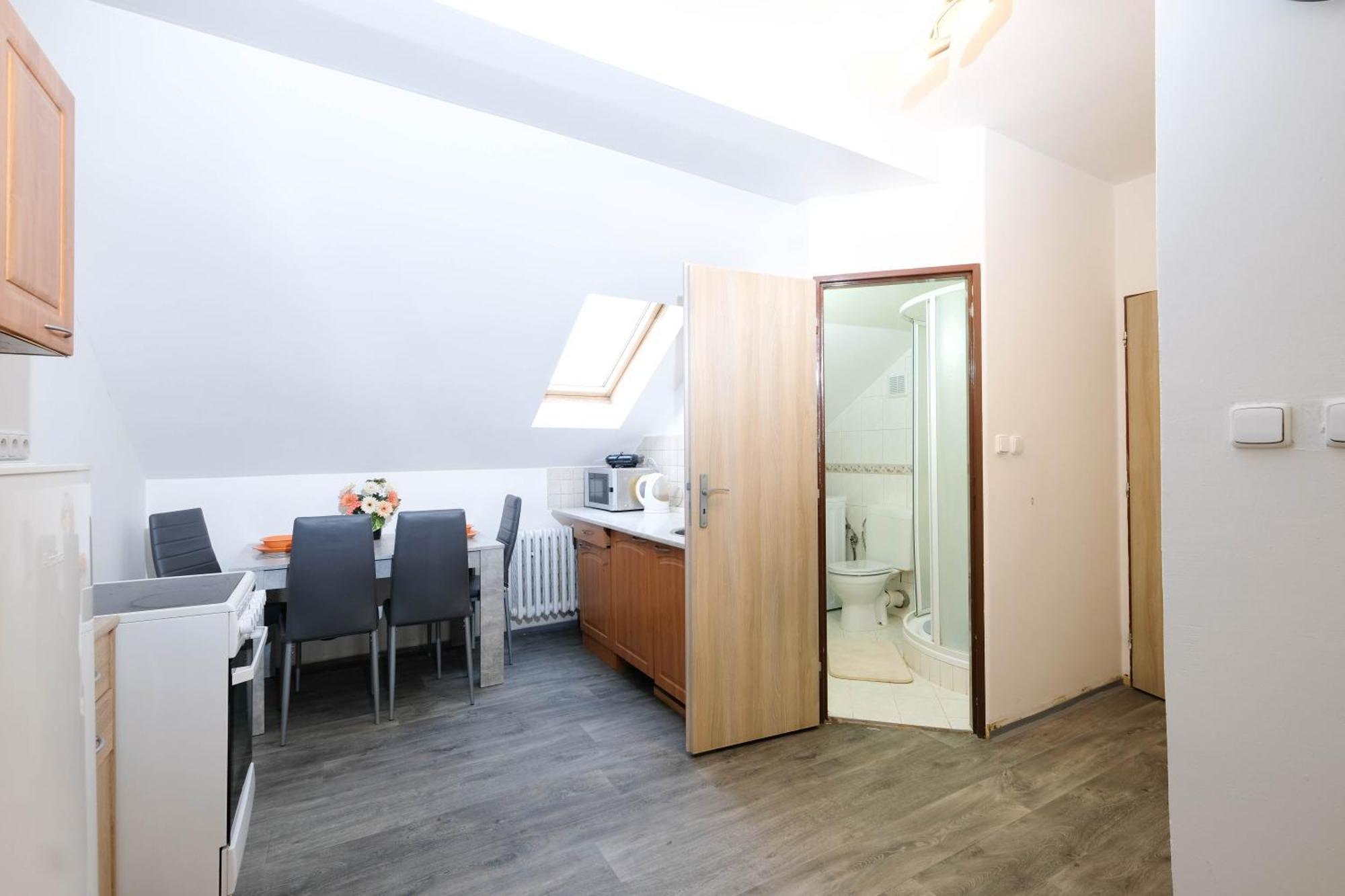 Apartments Alena - كارلوفي فاري المظهر الخارجي الصورة