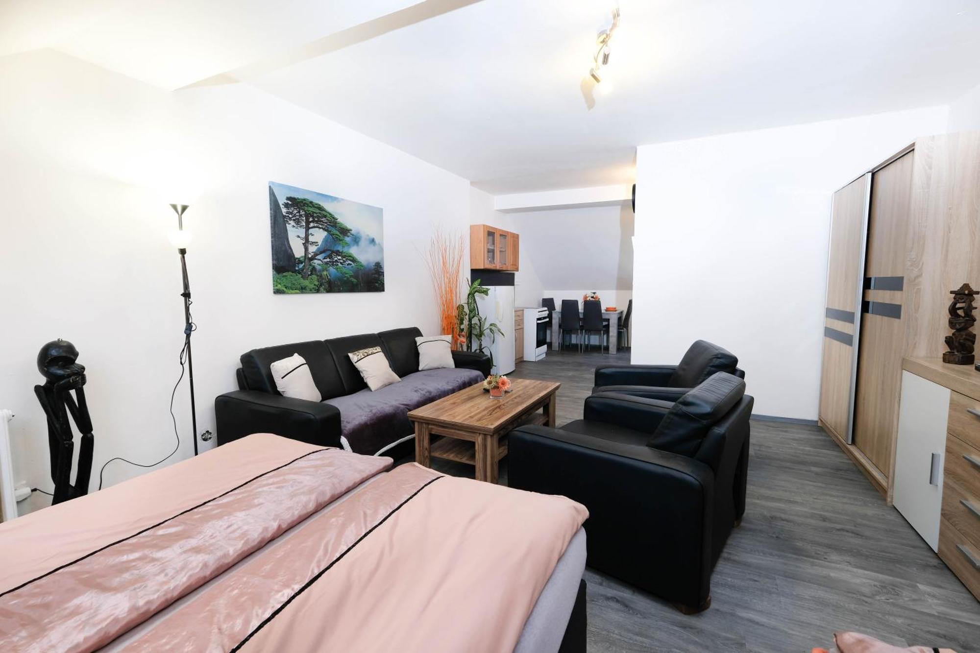 Apartments Alena - كارلوفي فاري المظهر الخارجي الصورة