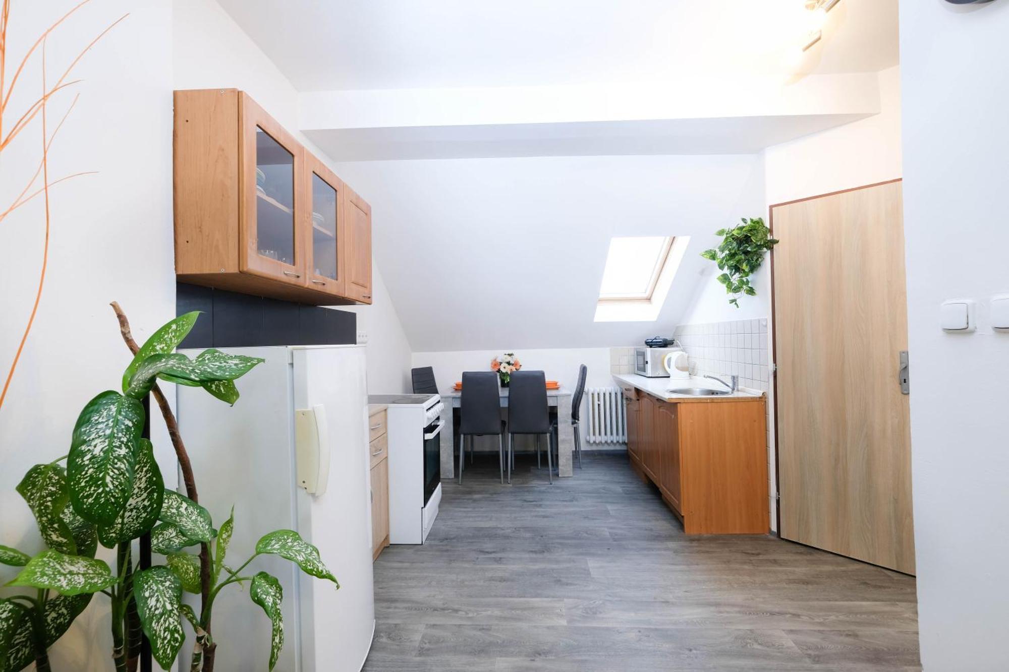 Apartments Alena - كارلوفي فاري المظهر الخارجي الصورة