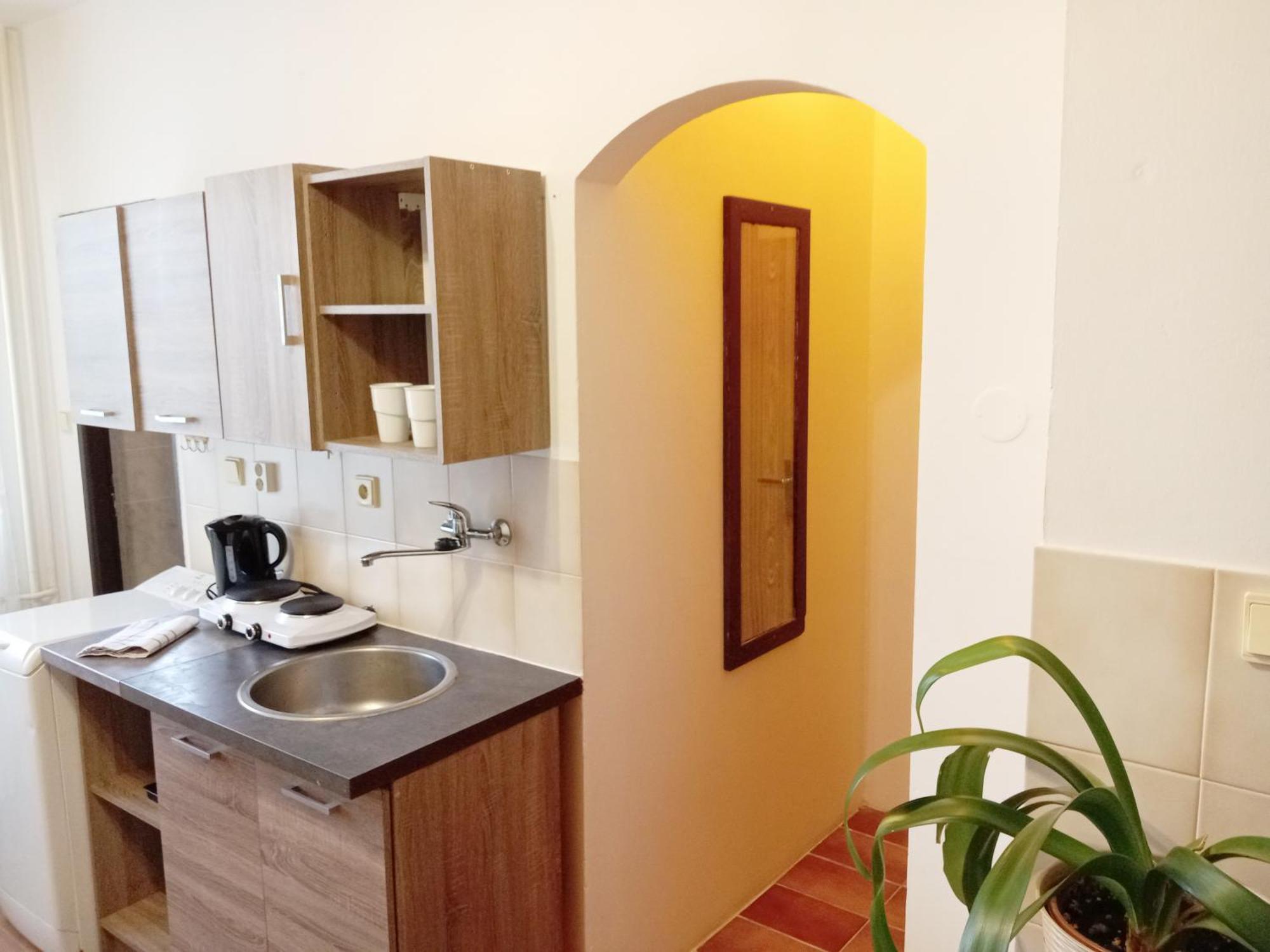 Apartments Alena - كارلوفي فاري الغرفة الصورة